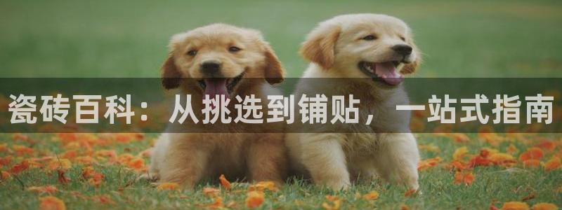 杏鑫注册登录网址是多少