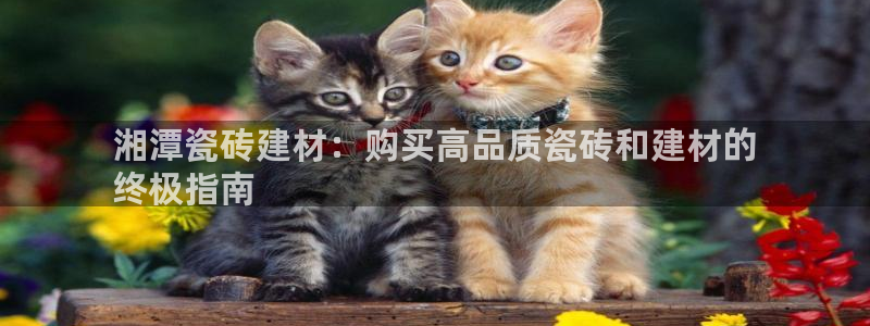 杏鑫平台怎么样黑钱吗知乎推荐