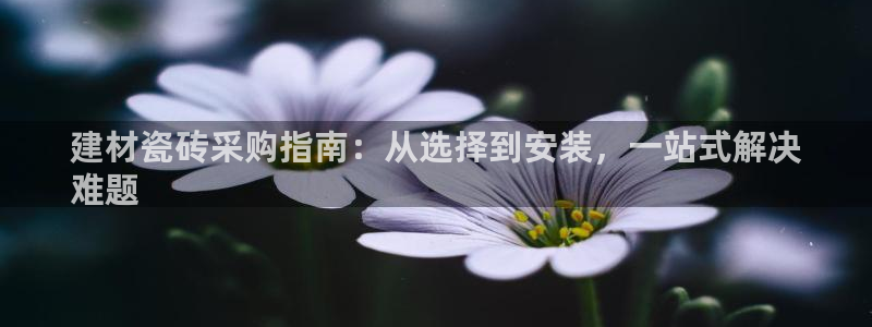 杏鑫官方平台怎么样啊知乎