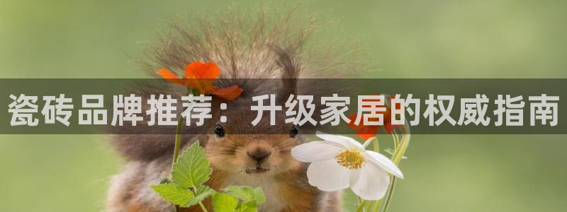杏鑫娱乐负责人