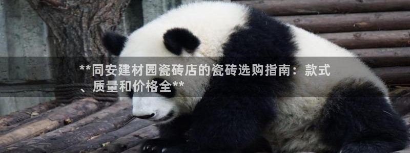 杏鑫有亏损返点吗