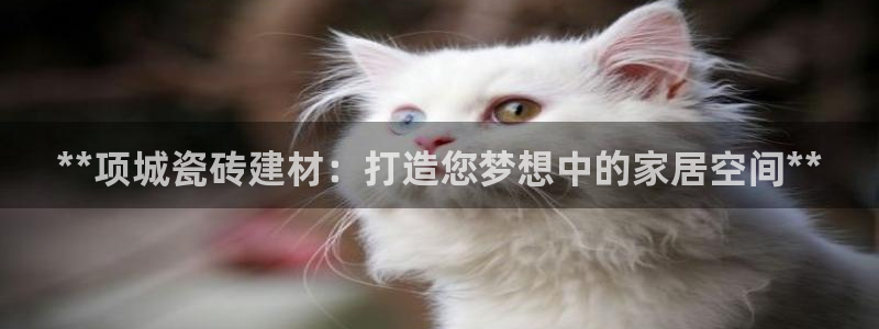 杏鑫平台是黑平台吗知乎
