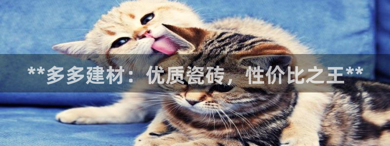 杏鑫官网最新信息新闻