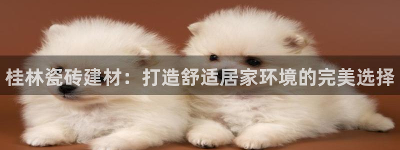 杏鑫平台代理怎么样