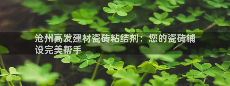 杏鑫手机客户端