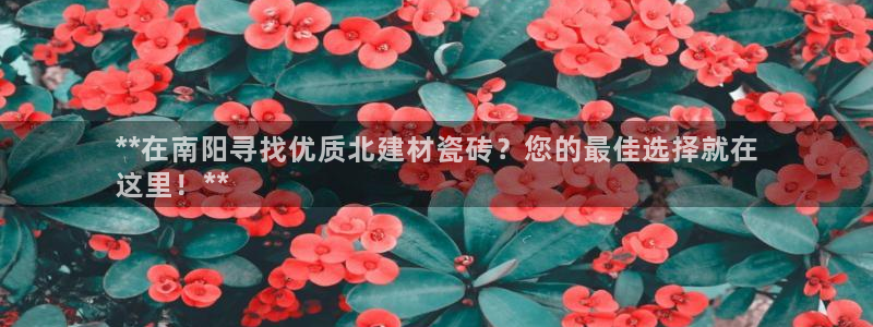 杏鑫娱乐平台