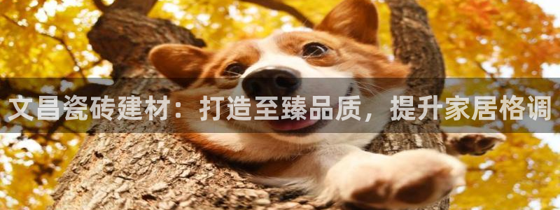 杏鑫娱乐是真的吗知乎