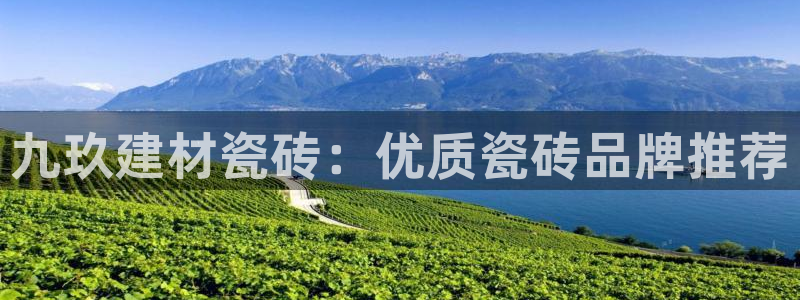 杏鑫官方平台怎么样啊知乎