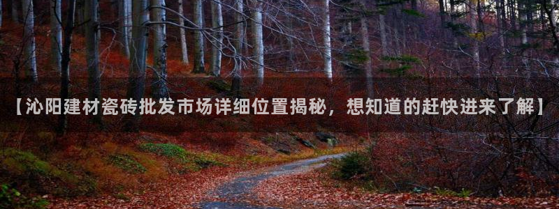 杏鑫主管