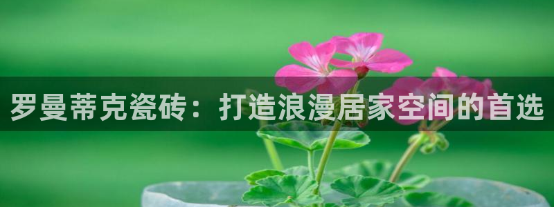 杏鑫平台待遇