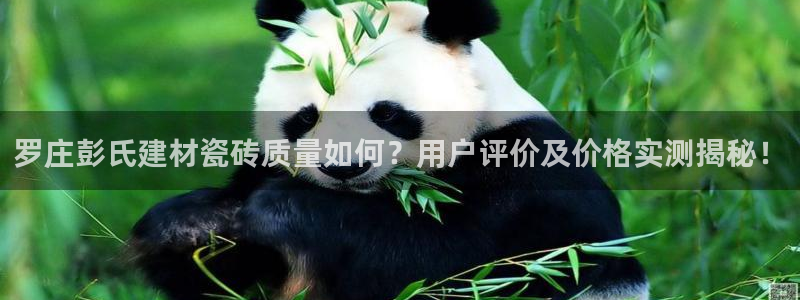 杏鑫官方平台怎么样啊知乎