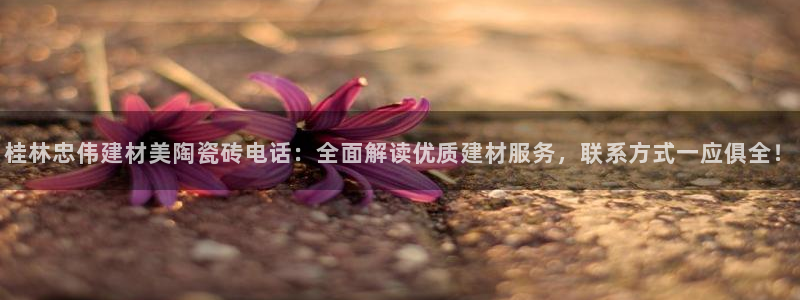 杏鑫平台招商怎么样啊