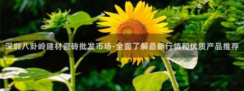 杏鑫娱乐-官方网站