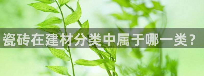 杏鑫平台招商电话