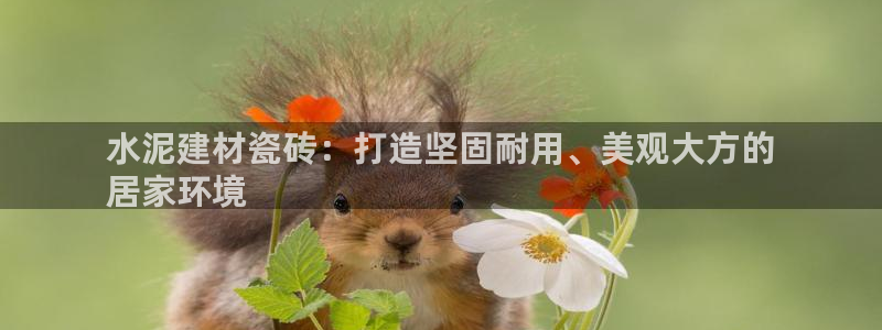 杏鑫手机客户端