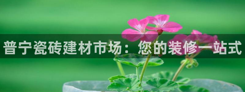 杏鑫平台官方网站
