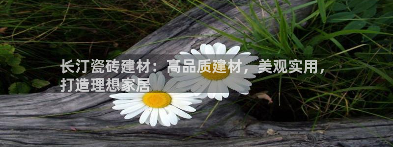 杏鑫手机客户端