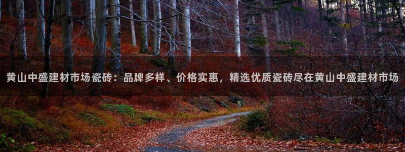 杏鑫平台注册地址在哪里