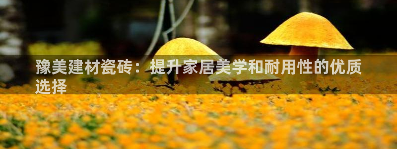 杏鑫平台招商电话号码