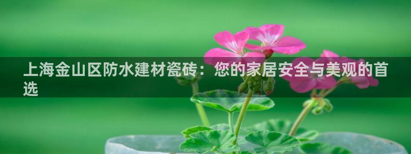 杏鑫娱乐官网下载