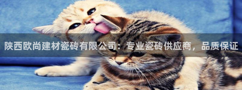 杏鑫平台待遇