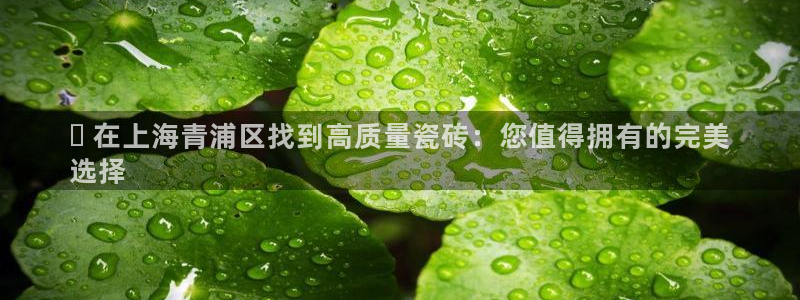 杏鑫平台怎么样黑钱吗知乎