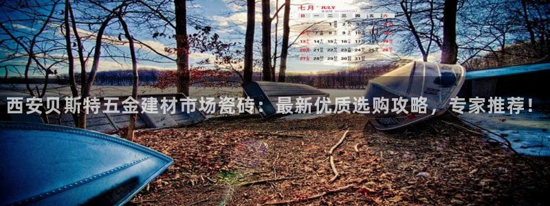 杏鑫官方平台怎么样啊可靠吗
