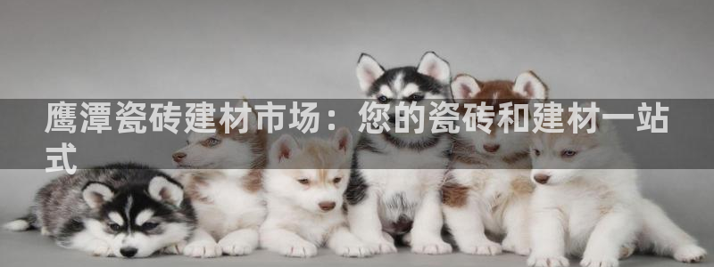 杏鑫娱乐官网首页