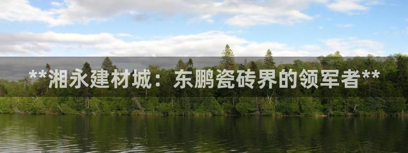 杏鑫平台野马联盟怎么样