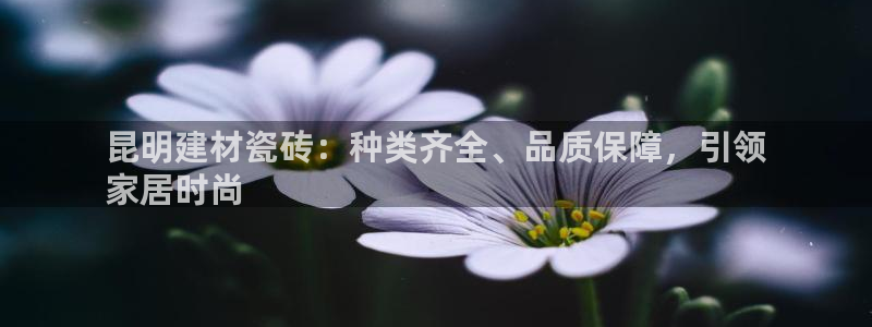 杏鑫平台怎么样知乎