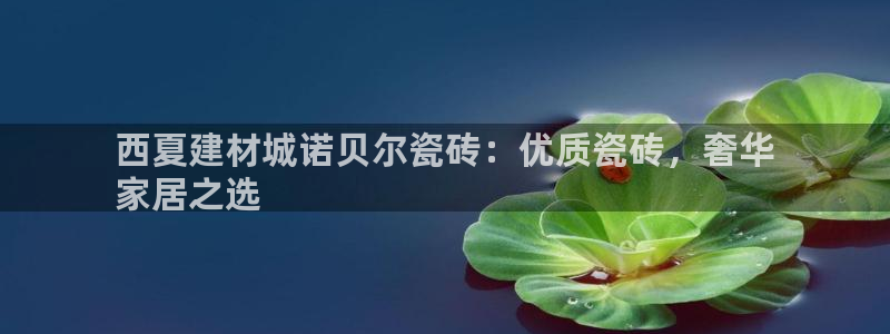 杏鑫平台野马联盟怎么样